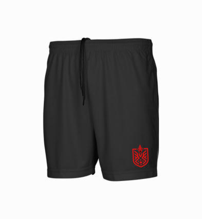 BCoE Playing Shorts